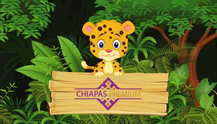 viajes a chiapas
